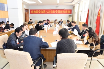 第四代表团 第四代表团